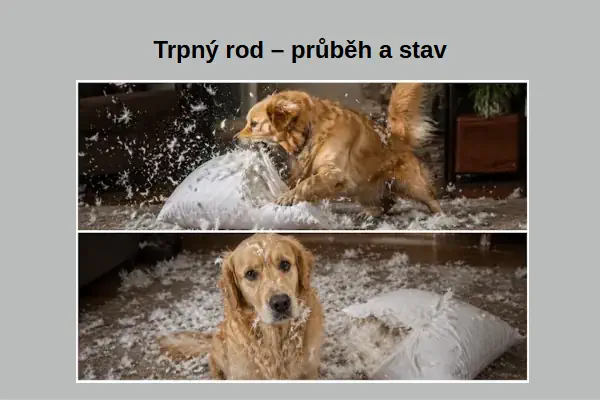Trpný rod v němčině
