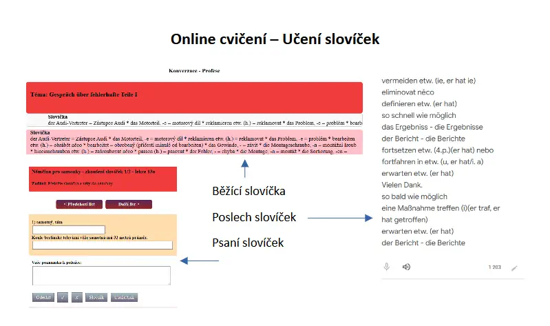Online cvičení - učení slovíček
